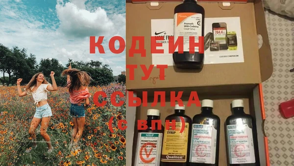 МДПВ Протвино