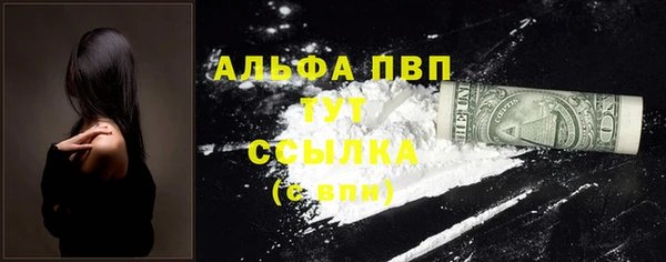 МДПВ Протвино