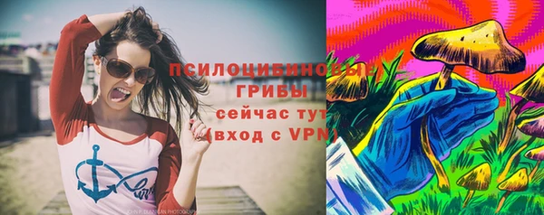 мдпв Пролетарск