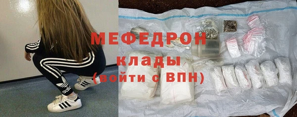 МДПВ Протвино