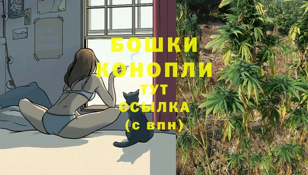 МДПВ Протвино